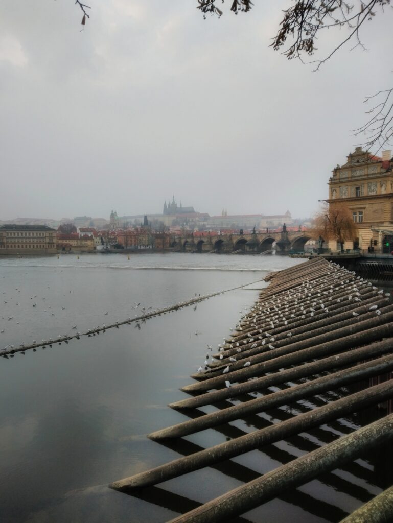 Prague décembre Un Tour à Prague Patinoire