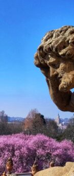 Visiter Prague au printemps : 9 idées pour en profiter.