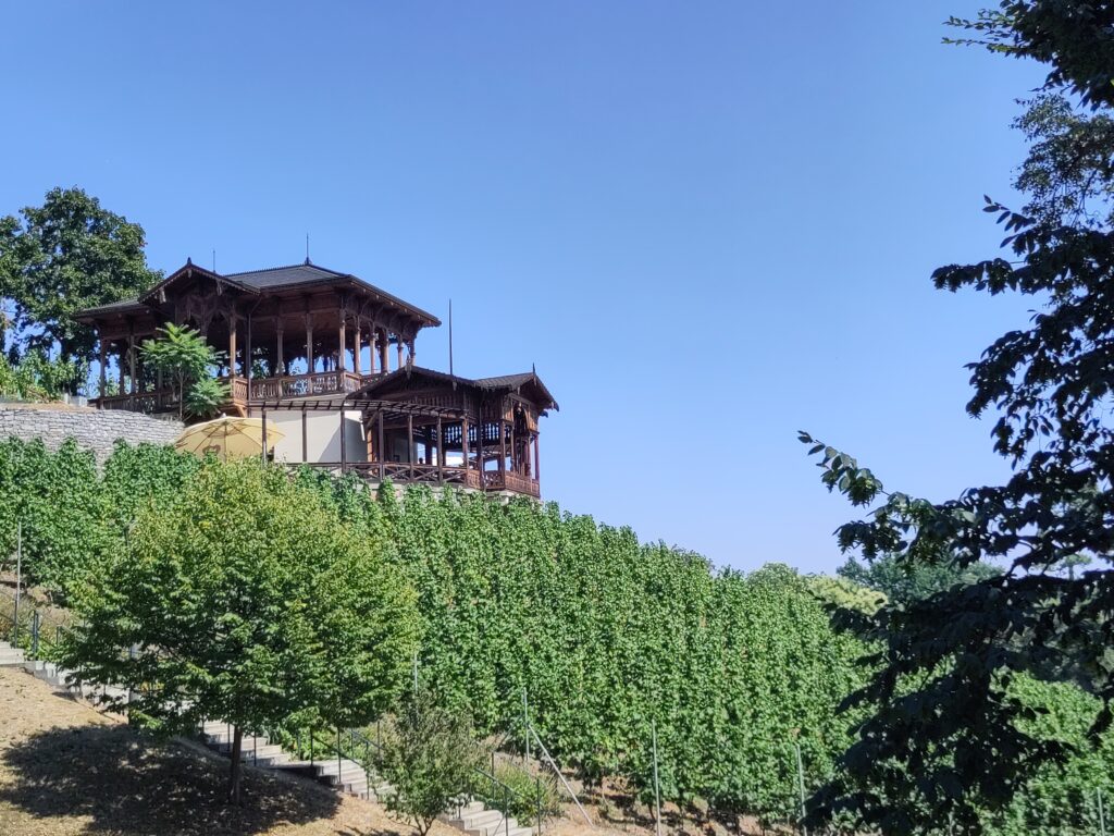Burcak et vinobrani à Prague - Grébovka